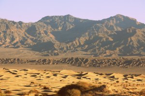 Death Valley: sand dunes