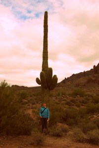 Apache Junction, Arizona