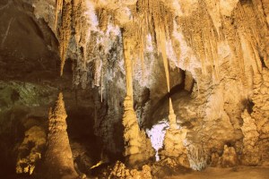 Carlsbad caverns, New Mexico