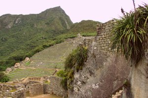 Maccu Picchu