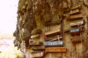 Hanging coffins, Sagada